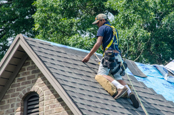 Best New Roof Installation  in New Market, AL